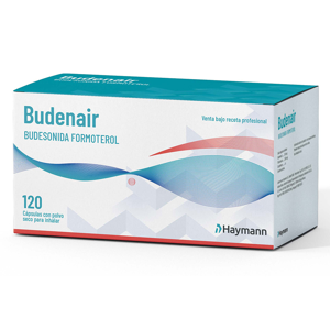 Budenair